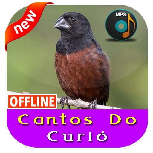 Cantos do Curió