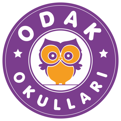 Odak Okulları