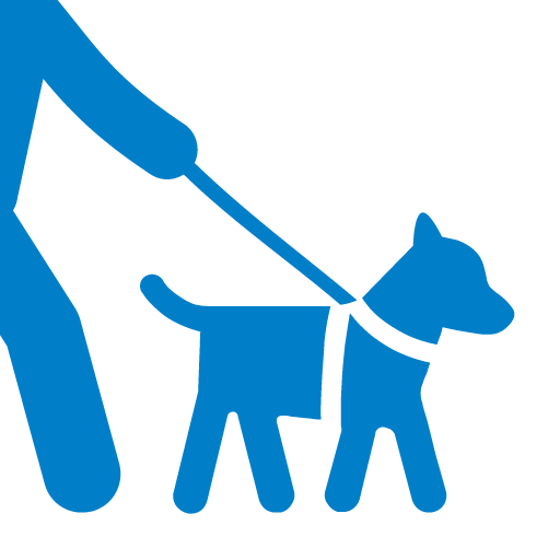 DogWalk-Acompanhe os seus cães