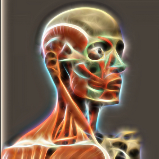 Atlas de anatomia humana em 3D