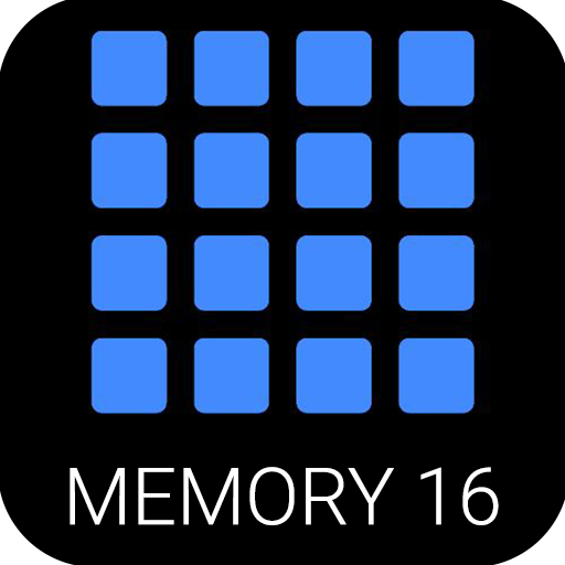 16 MEMORY FRUITS