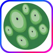 Trypophobia ASMR