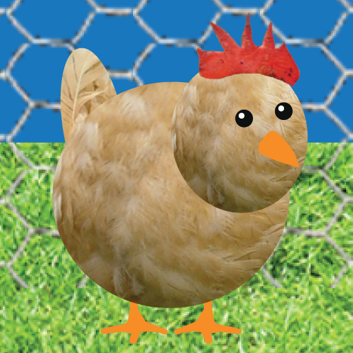 Chicken Pet Game