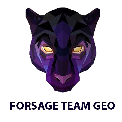 Forsage Smart Contract Global Team Geo