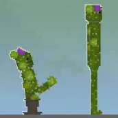 Cactus Mods Melon Playground