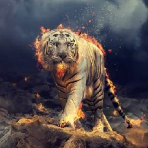 Cool Tiger Backgrounds 4k