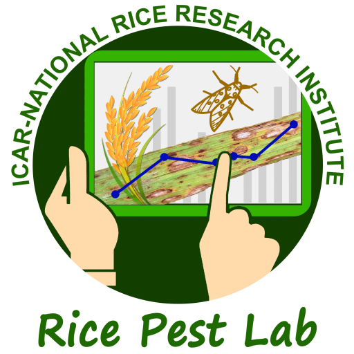 Rice Pest Lab
