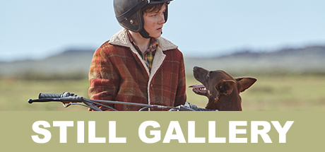 Red Dog: True Blue: Still Gallery