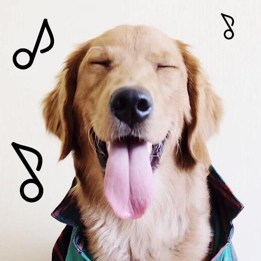 Dogify: Sounds Dogs Love