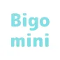 mini player for Bigo for hindi