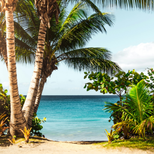 Ocean & Beaches Wallpapers