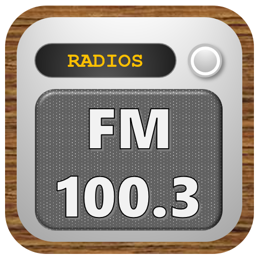 Rádio 100.3 FM