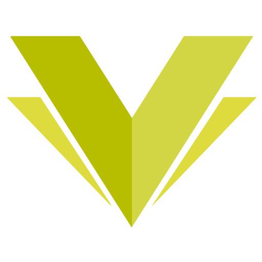 Visual Europe Group