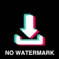 Download TikTok Video No Watermark