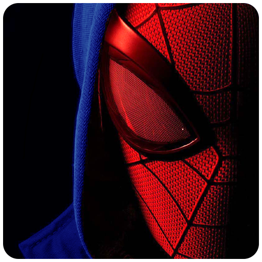 Spider Wallpaper Man 4K