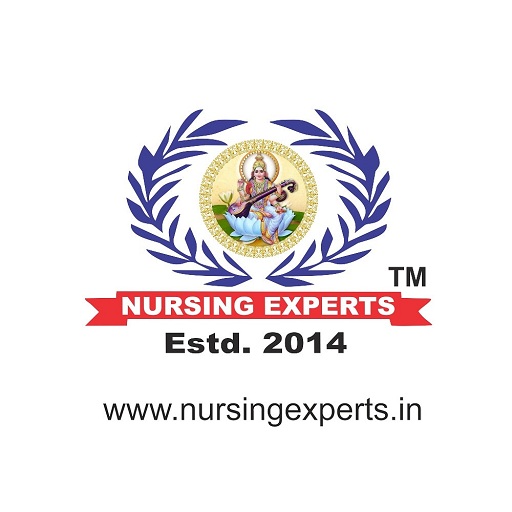 Nursing Experts Live