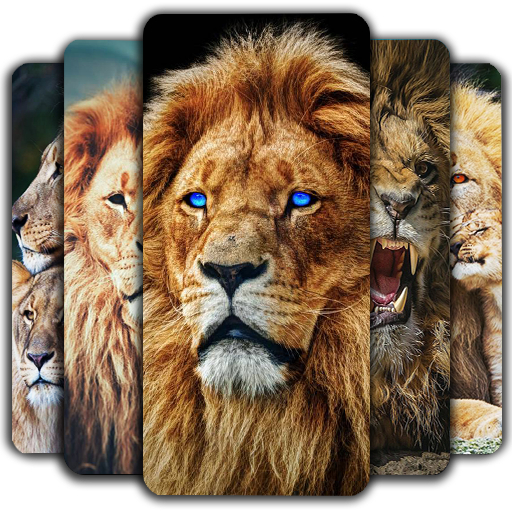 Lion Wallpaper