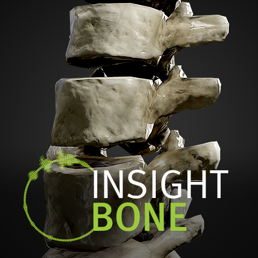 INSIGHT BONE