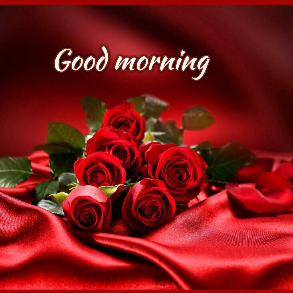 Download Good morning flowers gif android on PC