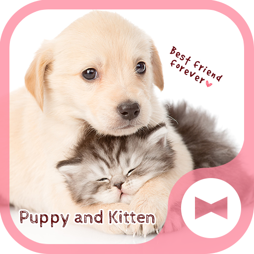 Puppy and Kitten Theme