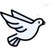 White Bird