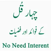 4 qul shareef with tarjma (offline)