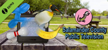 Salamander County Public Television Demo
