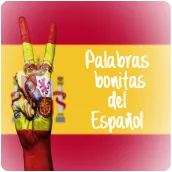 ESPAÑOL CASTELLANO PALABRAS