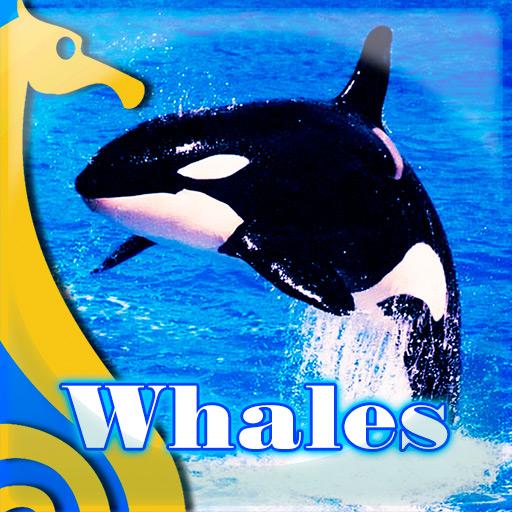 Whales