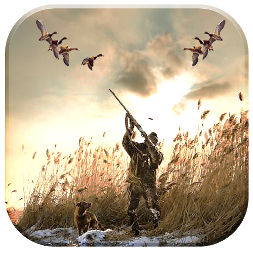 アヒル狩猟3D：ダイバーアヒル