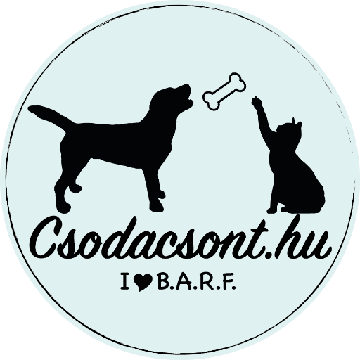 Csodacsont