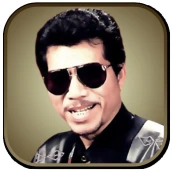 Lagu Meggy Z