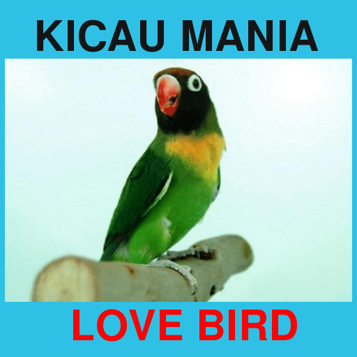 Suara Kicau Love Bird Juara