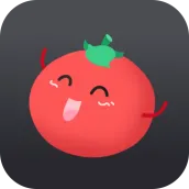 Tomato VPN | VPN Proxy