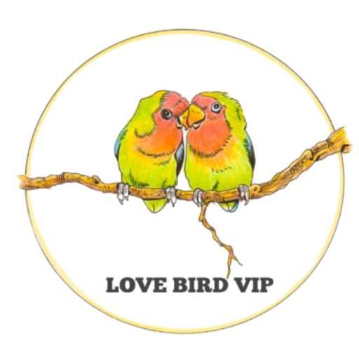 LOVE BIRD VIP