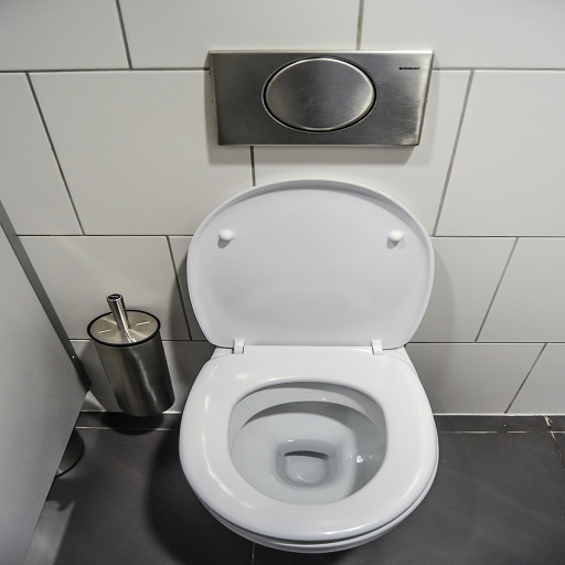 toilet flushing sounds