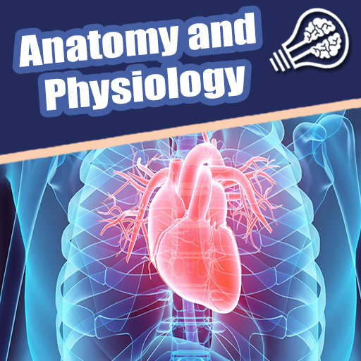 Anatomy Physiology Textbooks