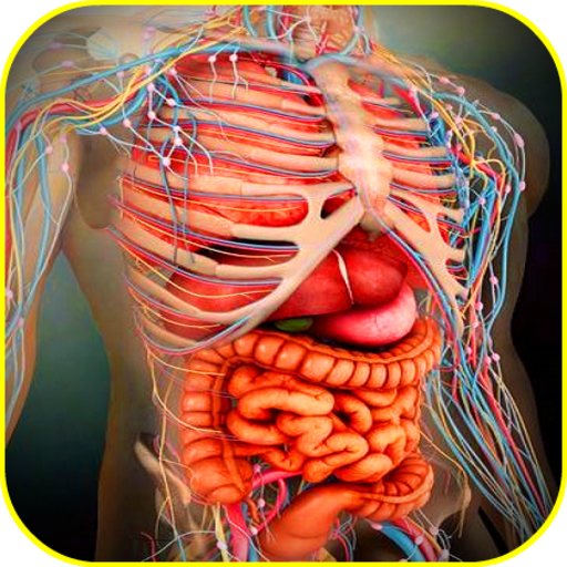 Atlas of Human Anatomy Offline