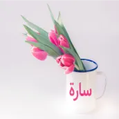 صور اسم سارة- خلفيات و رمزيات