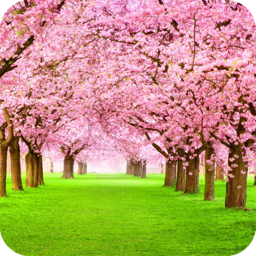 Blooming Tree Wallpaper