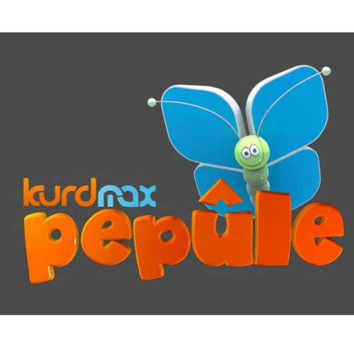 kurdmax papula LIVE