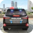 UNS Polizei Wage Fahren Sim 3D