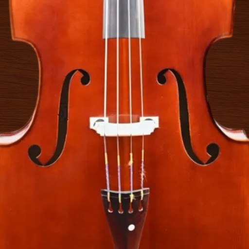 Professional Double Bass