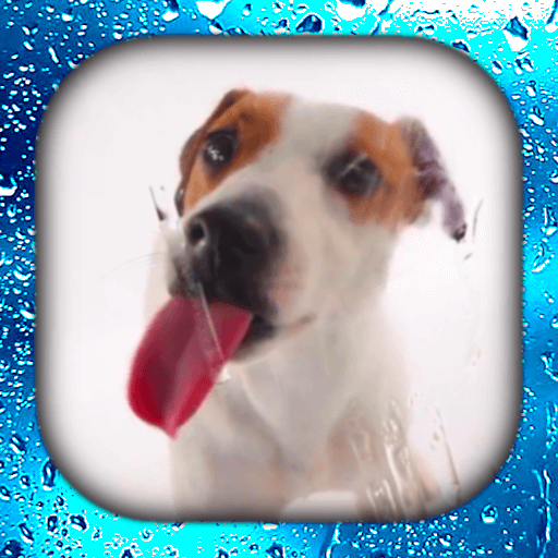 Dog Licks Screen Wallpaper 3D