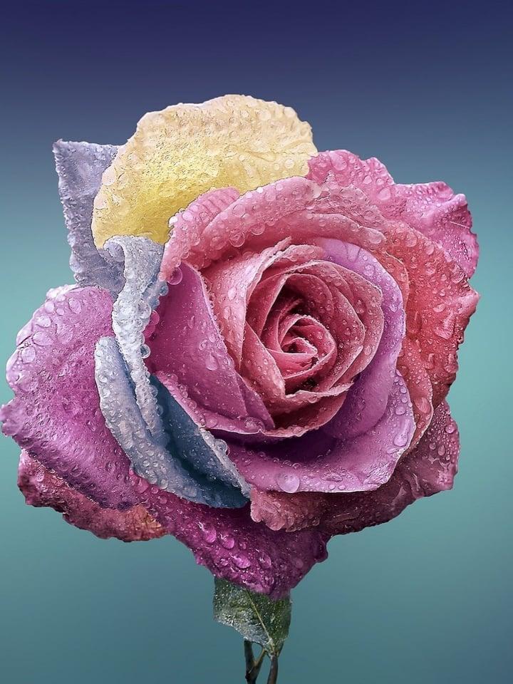 Download Best wallpapers for you 🖤 android on PC