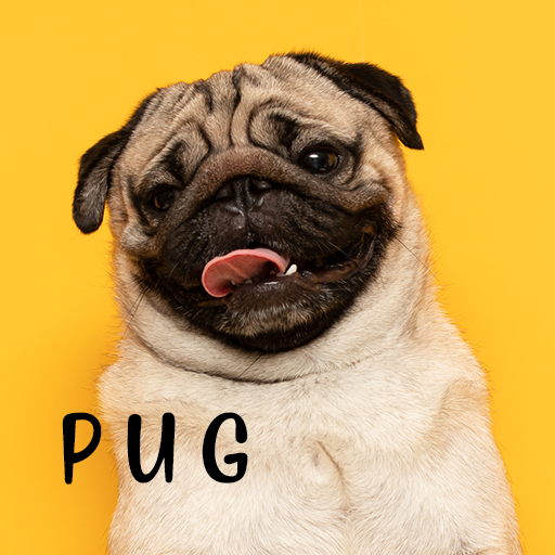 Pug tema +HOME