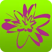 Bab Star App