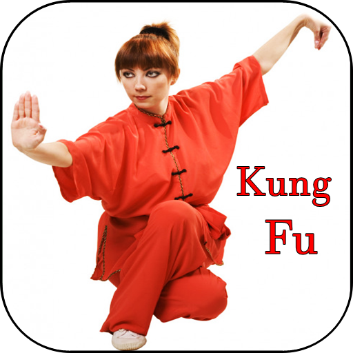 Como aprender kung fu rápido e