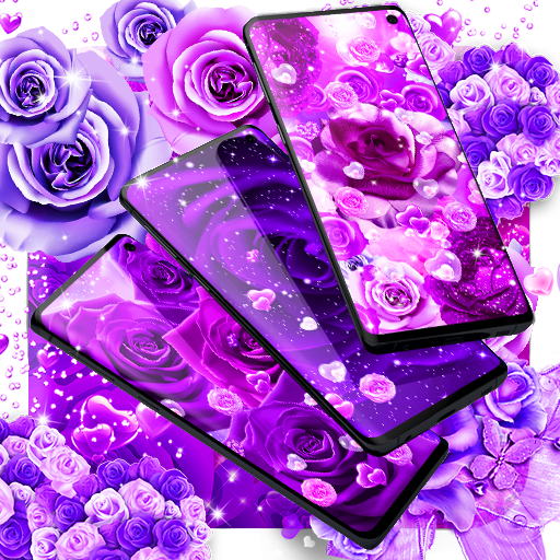 Purple rose live wallpaper