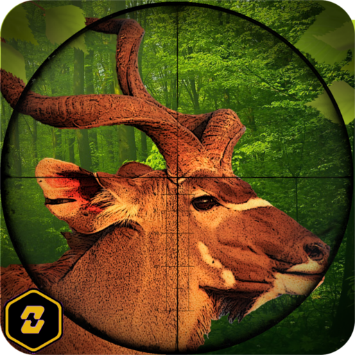 Animal Hunting Wild Adventure 
